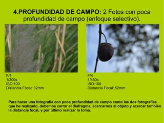 4.PROFUNDIDAD DE CAMPO: 2 Fotos con poca 
profundidad de campo (enfoque selectivo). 
F/4 
1/450s 
ISO:100 
Distancia Focal: 52mm 
F/4 
1/300s 
ISO:100 
Distancia Focal: 32mm 
Para hacer una fotografía con poca profundidad de campo como las dos fotografías 
que he realizado, debemos cerrar el diafragma, acercarnos al objeto y acercar también 
la distancia focal, y por último realizar la toma. 
 