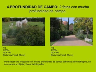 4.PROFUNDIDAD DE CAMPO: 2 fotos con mucha 
profundidad de campo. 
F/8 
1/250s 
ISO:100 
Distancia Focal: 36mm 
F/8 
1/250s 
ISO:100 
Distancia Focal: 36mm 
Para hacer una fotografía con mucha profundidad de campo debemos abrir diafragma, no 
acercarnos al objeto y hacer la fotografía. 
 