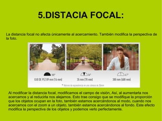 5.DISTACIA FOCAL: 
La distancia focal no afecta únicamente al acercamiento. También modifica la perspectiva de 
la foto. 
Al modificar la distancia focal, modificamos el campo de visión, Así, al aumentarla nos 
acercamos y al reducirla nos alejamos. Esto trae consigo que se modifique la proporción 
que los objetos ocupan en la foto, también estamos acercándonos al modo, cuando nos 
acercamos con el zoom a un objeto, también estamos acercándonos al fondo. Este efecto 
modifica la perspectiva de los objetos y podemos verlo perfectamente. 
 