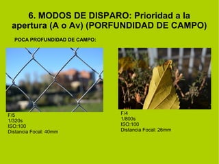 6. MODOS DE DISPARO: Prioridad a la 
apertura (A o Av) (PORFUNDIDAD DE CAMPO) 
POCA PROFUNDIDAD DE CAMPO: 
F/5 
1/320s 
ISO:100 
Distancia Focal: 40mm 
F/4 
1/800s 
ISO:100 
Distancia Focal: 26mm 
 