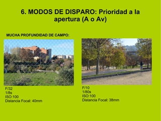 6. MODOS DE DISPARO: Prioridad a la 
apertura (A o Av) 
MUCHA PROFUNDIDAD DE CAMPO: 
F/32 
1/8s 
ISO:100 
Distancia Focal: 40mm 
F/10 
1/80s 
ISO:100 
Distancia Focal: 38mm 
 
