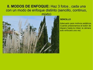 8. MODOS DE ENFOQUE: Haz 3 fotos , cada una 
con un modo de enfoque distinto (sencillo, continuo, 
mixto) 
SENCILLO 
Adecuado para motivos estáticos. 
Cuando presionamos el botón de 
disparo hasta la mitad, la cámara 
solo enfocará una vez. 
 