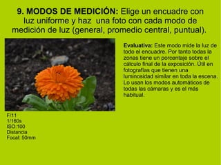 9. MODOS DE MEDICIÓN: Elige un encuadre con 
luz uniforme y haz una foto con cada modo de 
medición de luz (general, promedio central, puntual). 
F/11 
1/160s 
ISO:100 
Distancia 
Focal: 50mm 
Evaluativa: Este modo mide la luz de 
todo el encuadre. Por tanto todas la 
zonas tiene un porcentaje sobre el 
cálculo final de la exposición. Útil en 
fotografías que tienen una 
luminosidad similar en toda la escena. 
Lo usan los modos automáticos de 
todas las cámaras y es el más 
habitual. 
 
