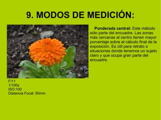 9. MODOS DE MEDICIÓN: 
Ponderada central: Este método 
sólo parte del encuadre. Las zonas 
más cercanas al centro tienen mayor 
porcentaje sobre el cálculo final de la 
exposición. Es útil para retrato o 
situaciones donde tenemos un sujeto 
claro y que ocupa gran parte del 
encuadre. 
F/11 
1/100s 
ISO:100 
Distancia Focal: 50mm 
 