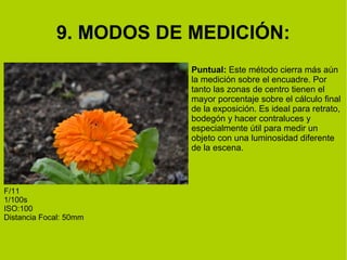 9. MODOS DE MEDICIÓN: 
Puntual: Este método cierra más aún 
la medición sobre el encuadre. Por 
tanto las zonas de centro tienen el 
mayor porcentaje sobre el cálculo final 
de la exposición. Es ideal para retrato, 
bodegón y hacer contraluces y 
especialmente útil para medir un 
objeto con una luminosidad diferente 
de la escena. 
F/11 
1/100s 
ISO:100 
Distancia Focal: 50mm 
 