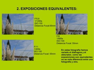 2. EXPOSICIONES EQUIVALENTES: 
F/8 
1/800s 
ISO:100 
Distancia Focal: 55mm 
F/5,6 
1/1250s 
ISO:100 
Distancia Focal:55mm 
F/11 
1/400s 
ISO:100 
Distancia Focal: 55mm 
En estas fotografía hemos 
variado el diafragma y el 
obturador, como las 
exposiciones son equivalentes 
no se nota diferencia entre una 
fotografía y otra. 
 