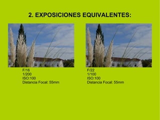 2. EXPOSICIONES EQUIVALENTES: 
F/22 
1/100 
ISO:100 
Distancia Focal: 55mm 
F/16 
1/200 
ISO:100 
Distancia Focal: 55mm 
 