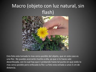 Macro (objeto con luz natural, sin 
flash) 
Esta foto esta tomada lo mas cerca posible del objeto, que en este caso es 
una flor. No puedes acercarte mucho a ella, ya que si lo haces sale 
desenfocada, con lo cual hay que ir probando hasta tal punto en que estés lo 
mas cerca posible pero enfocada la flor. La foto esta echada a unos 5 cm de 
distancia. 
 