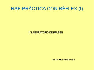 RSF-PRÁCTICA CON RÉFLEX (I) 
1º LABORATORIO DE IMAGEN 
Rocío Muñoz Dionisio 
 
