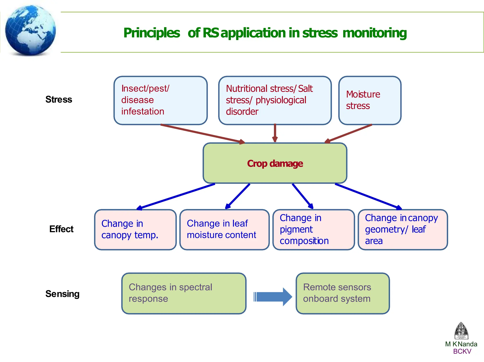 Remote sensors
onboard system
Changes in spectral
response
Crop damage
Insect/pest/
disease
infestation
Moisture
stress
Nutritional stress/Salt
stress/ physiological
disorder
Change incanopy
geometry/ leaf
area
Change in
pigment
composition
Change in leaf
moisture content
Change in
canopy temp.
Stress
Effect
Sensing
Principles of RSapplication in stress monitoring
M KNanda
BCKV
 