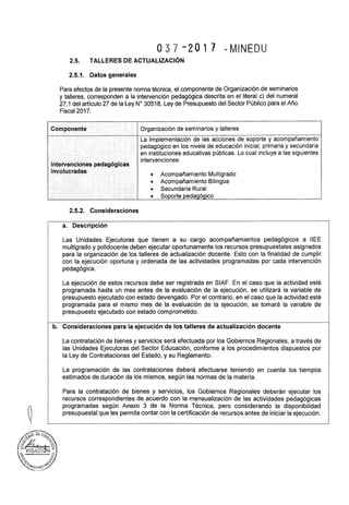 Rsg n° 037 2017-MINEDU