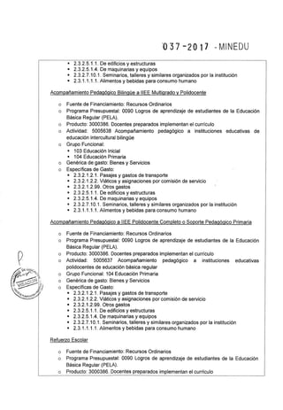 Rsg n° 037 2017-MINEDU