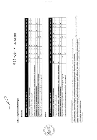 Rsg n° 037 2017-MINEDU