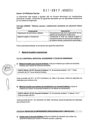 Rsg n° 037 2017-MINEDU