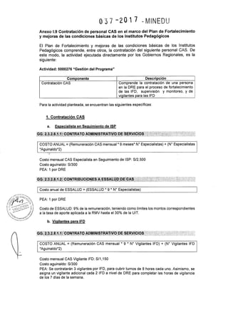 Rsg n° 037 2017-MINEDU