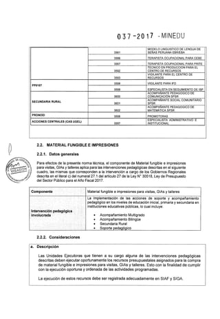 Rsg n° 037 2017-MINEDU