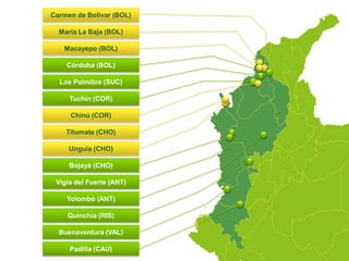 Carmen de Bolívar (BOL)María La Baja (BOL)Macayepo (BOL)Córdoba (BOL)Los Palmitos (SUC)Tuchín (COR)Chinú (COR)Titumate (CHO)Unguía (CHO)Bojayá (CHO)Vigía del Fuerte (ANT)Yolombó (ANT)Quinchía (RIS)Buenaventura (VAL)Padilla (CAU)