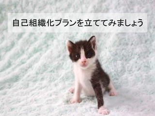 自己組織化プランを立ててみましょう
 