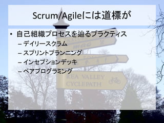 Scrum/Agileには道標が
• 自己組織プロセスを辿るプラクティス
– デイリースクラム
– スプリントプランニング
– インセプションデッキ
– ペアプログラミング
 