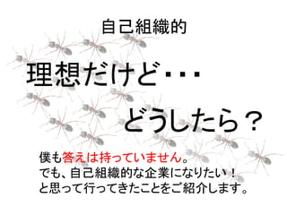 自己組織的
理想だけど・・・
僕も答えは持っていません。
でも、自己組織的な企業になりたい！
と思って行ってきたことをご紹介します。
どうしたら？
 