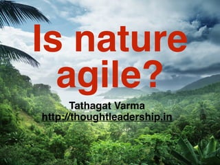 Is nature
agile?
Tathagat Varma
http://thoughtleadership.in
 