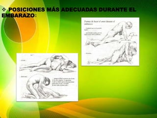  POSICIONES MÁS ADECUADAS DURANTE EL
EMBARAZO:
 