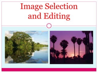 Image Selection 
and Editing 
 
