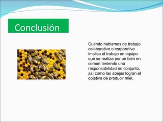 Conclusión
             Cuando hablamos de trabajo
             colaborativo o corporativo
             implica el trabajo en equipo
             que se realiza por un bien en
             común teniendo una
             responsabilidad en conjunto,
             así como las abejas logran el
             objetivo de producir miel.
 