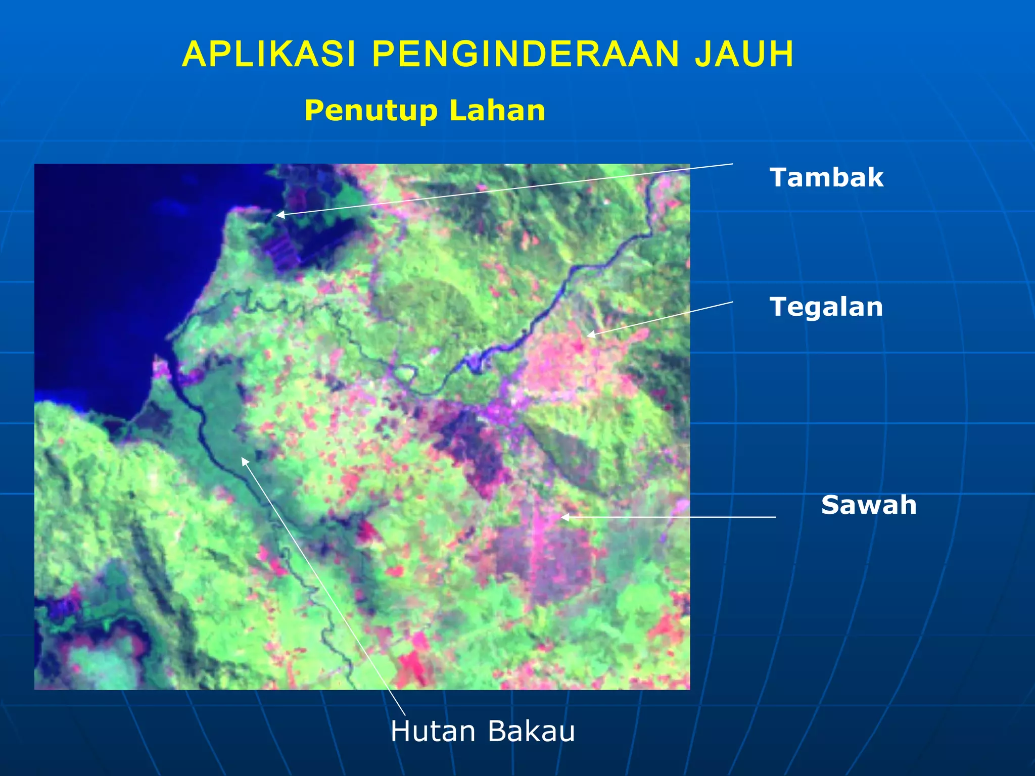 APLIKASI PENGINDERAAN JAUH Hutan Bakau Tegalan Tambak Sawah Penutup Lahan 