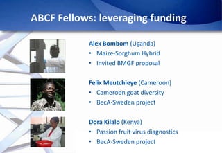 Africa Biosciences Challenge Fund (ABCF): Empowering African scientists to solve Africa’s agricultural challenges