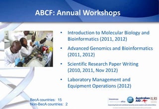 Africa Biosciences Challenge Fund (ABCF): Empowering African scientists to solve Africa’s agricultural challenges