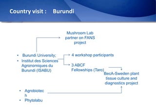 Africa Biosciences Challenge Fund (ABCF): Empowering African scientists to solve Africa’s agricultural challenges