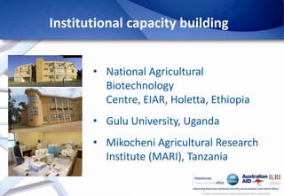 Africa Biosciences Challenge Fund (ABCF): Empowering African scientists to solve Africa’s agricultural challenges