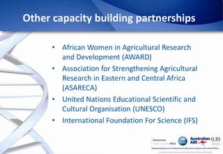 Africa Biosciences Challenge Fund (ABCF): Empowering African scientists to solve Africa’s agricultural challenges