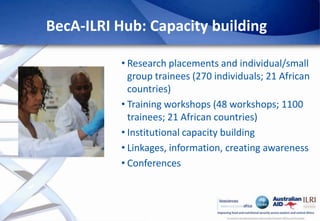 Africa Biosciences Challenge Fund (ABCF): Empowering African scientists to solve Africa’s agricultural challenges