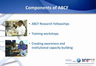 Africa Biosciences Challenge Fund (ABCF): Empowering African scientists to solve Africa’s agricultural challenges