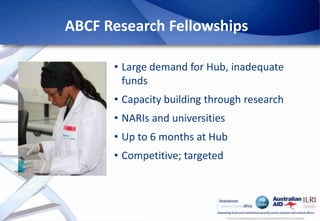 Africa Biosciences Challenge Fund (ABCF): Empowering African scientists to solve Africa’s agricultural challenges