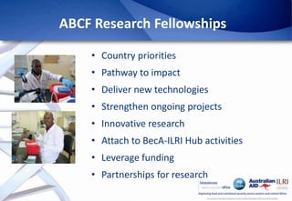 Africa Biosciences Challenge Fund (ABCF): Empowering African scientists to solve Africa’s agricultural challenges