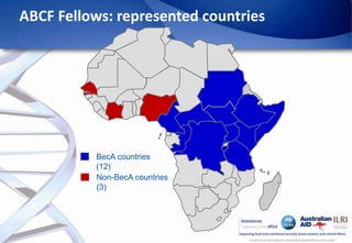 Africa Biosciences Challenge Fund (ABCF): Empowering African scientists to solve Africa’s agricultural challenges