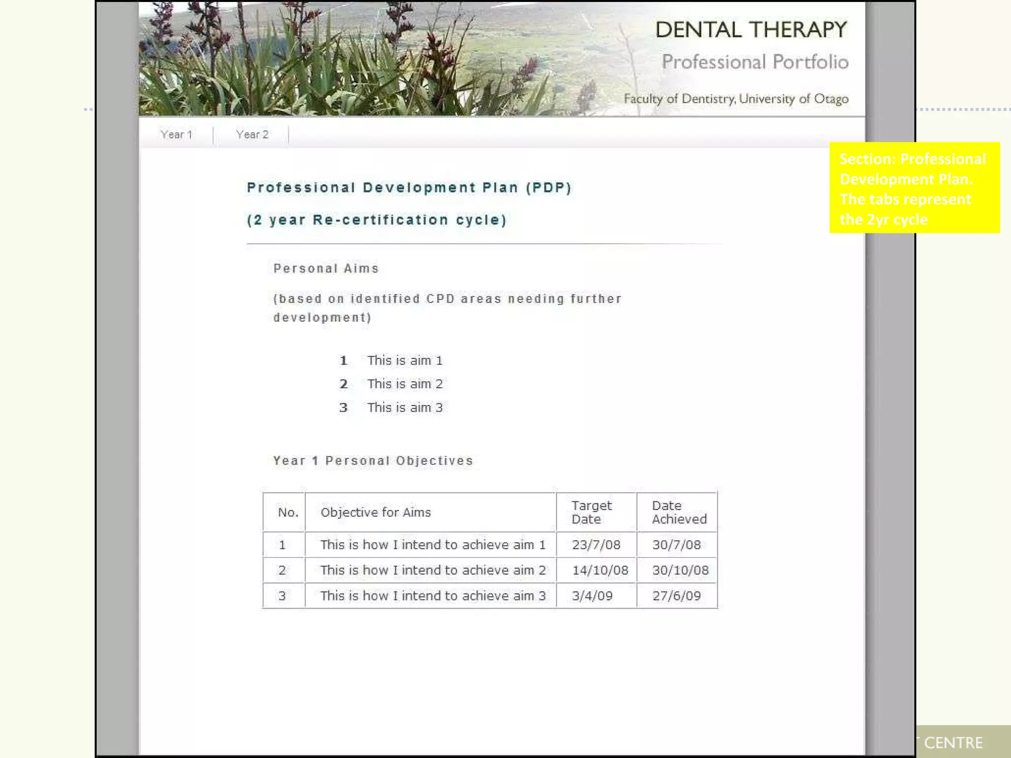 Section: Professional  Development Plan.  The tabs represent  the 2yr cycle 