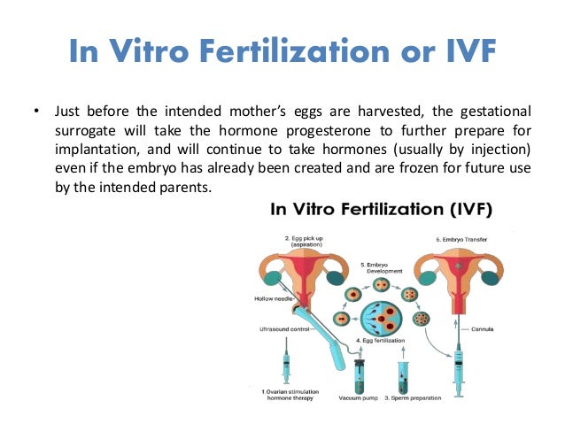surrogacy surrogate gestational