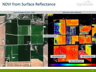 NDVI from Surface Reflectance
Longmont (August 10, 2011 – WV2)

NDVI from surface reflectance

LAI: 0.56 [m2 /m2]

LAI: 4.53 [m2 /m2]

LAI: 3.72 [m2 /m2]
LAI: 4.45 [m2 /m2]

no vegetation

vigorous vegetation

13

 