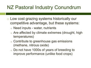 NZ Pastoral Industry Conundrum  Low cost grazing systems historically our competitive advantage, but these systems: ,[object Object]