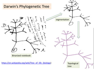 https://en.wikipedia.org/wiki/Tree_of_life_(biology)
Darwin’s Phylogenetic Tree
Binarized notebook
segmentation
Topological
tree
 