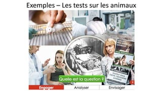 Exemples – Les tests sur les animaux
 