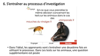 6. S’entraîner au processus d’investigation
• Dans l’idéal, les apprenants vont s’entraîner une deuxième fois en
utilisant le processus. Dans Les tests sur les animaux, une question
supplémentaire est posée
 