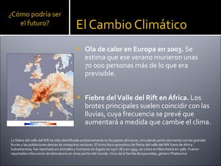 Ola de calor en Europa en 2003.  Se estima que ese verano murieron unas  70 000 personas más de lo que era previsible.  Fiebre del Valle del Rift en África.  Los brotes principales suelen coincidir con las lluvias, cuya frecuencia se prevé que aumentará a medida que cambie el clima.  La fiebre del valle del Rift ha sido identificada exclusivamente en los países africanos, vinculando particularmente con las grandes lluvias y las poblaciones densas de mosquitos vectores. El único foco epizoótico de fiebre del valle del Rift fuera de Africa Subsahariana, fue reportado en animales y humanos en Egipto en 1977-78 y en 1993, así como en Mauritania en 1987. Fueron reportadas infecciones de laboratorio en otras partes del mundo. Virus de la familia  Bunyaviridae , género  Phlebovirus 