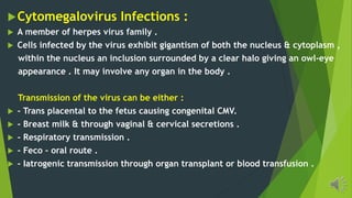 Cytomegalovirus Infections :
A member of herpes virus family .
Cells infected by the virus exhibit gigantism of both the nucleus & cytoplasm ,
within the nucleus an inclusion surrounded by a clear halo giving an owl-eye
appearance . It may involve any organ in the body .
Transmission of the virus can be either :
- Trans placental to the fetus causing congenital CMV.
- Breast milk & through vaginal & cervical secretions .
- Respiratory transmission .
- Feco - oral route .
- Iatrogenic transmission through organ transplant or blood transfusion .
 