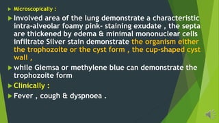 Microscopically :
Involved area of the lung demonstrate a characteristic
intra-alveolar foamy pink- staining exudate , the septa
are thickened by edema & minimal mononuclear cells
infiltrate Silver stain demonstrate the organism either
the trophozoite or the cyst form , the cup-shaped cyst
wall ,
while Giemsa or methylene blue can demonstrate the
trophozoite form
Clinically :
Fever , cough & dyspnoea .
 