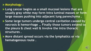 Morphology :
Lung cancer begins as a small mucosal lesions that are
usually gray white may form intra luminal masses or form
large masses pushing into adjacent lung parenchyma .
Some large tumors undergo central cavitation caused by
necrosis & hemorrhage .. Finally those tumors extend to
the pleura & chest wall & involve the intra thoracic
structures .
More distant spread occurs via the lymphatics or via
hematogenous route .
 